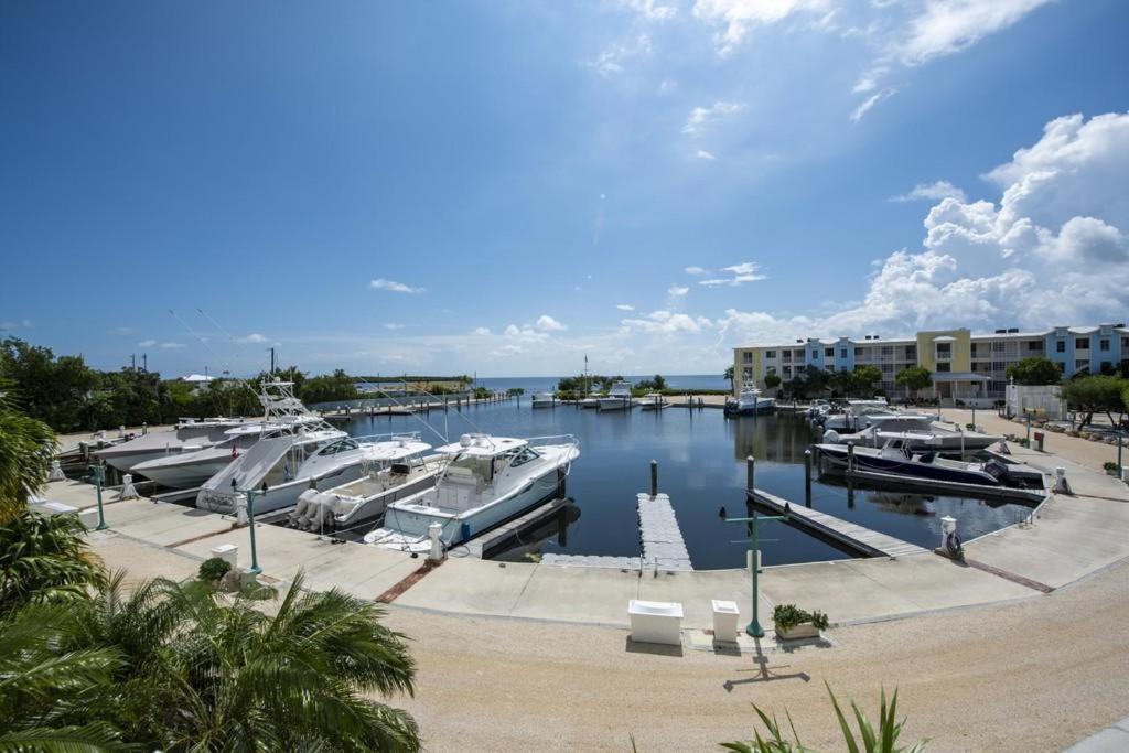 Licensed Mgr - 3/3.5 Modern Villa - Key Largo'S Premier Oceanfront Resort And Marina! Exteriör bild